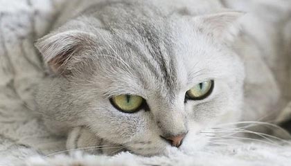 衡水伴游，定制QQ：3494206190微信：act1322